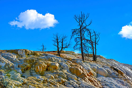 Yellowstone