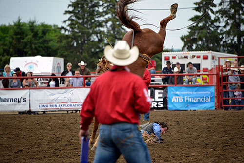 Rodeo