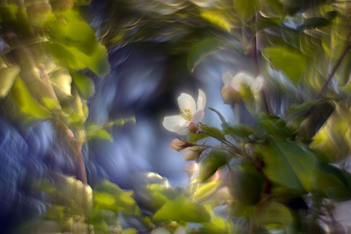 Swirly Bokeh