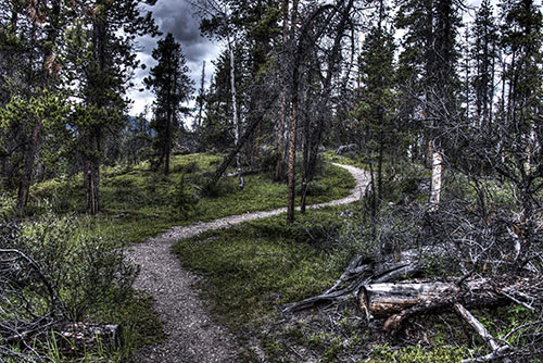 HDR Trail