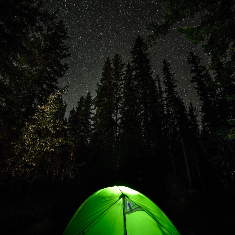 Stars