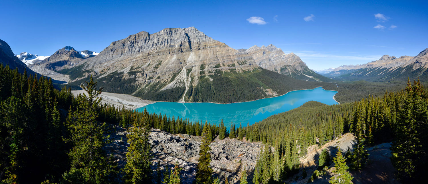 Peyto Pano